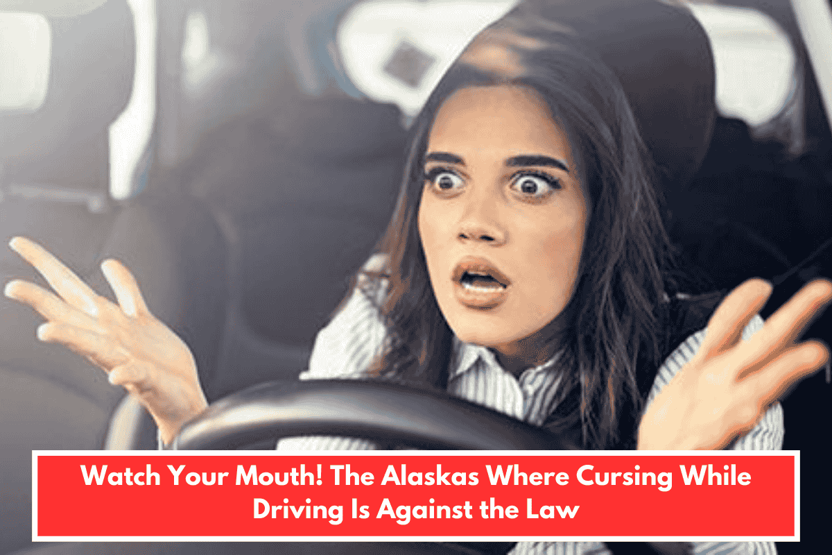 Watch Your Mouth! The Alaskas Where Cursing While Driving Is Against the Law
