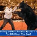 Bear Wrestling and Other Prohibited Activities in Indiana You Didn't Know Were Illegal