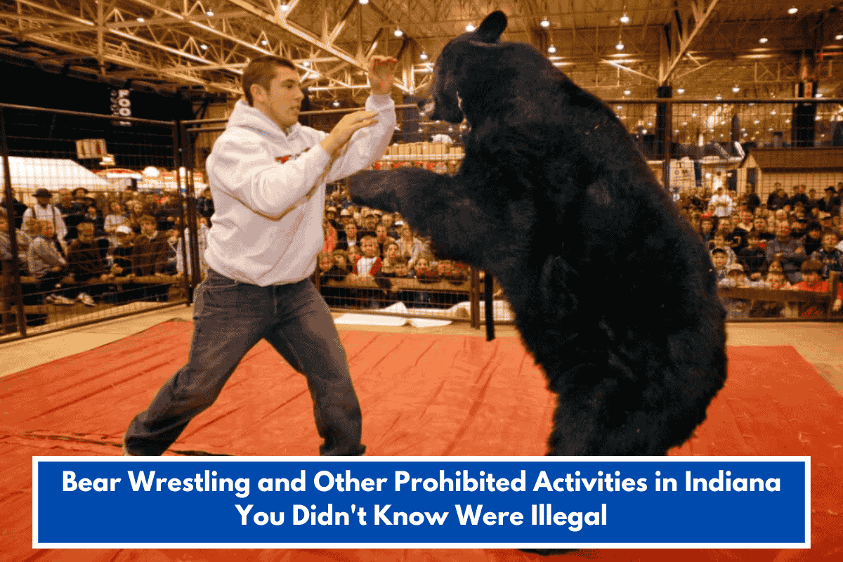 Bear Wrestling and Other Prohibited Activities in Indiana You Didn't Know Were Illegal