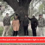 "It's more than just a tree": James Islanders fight to save big oaks