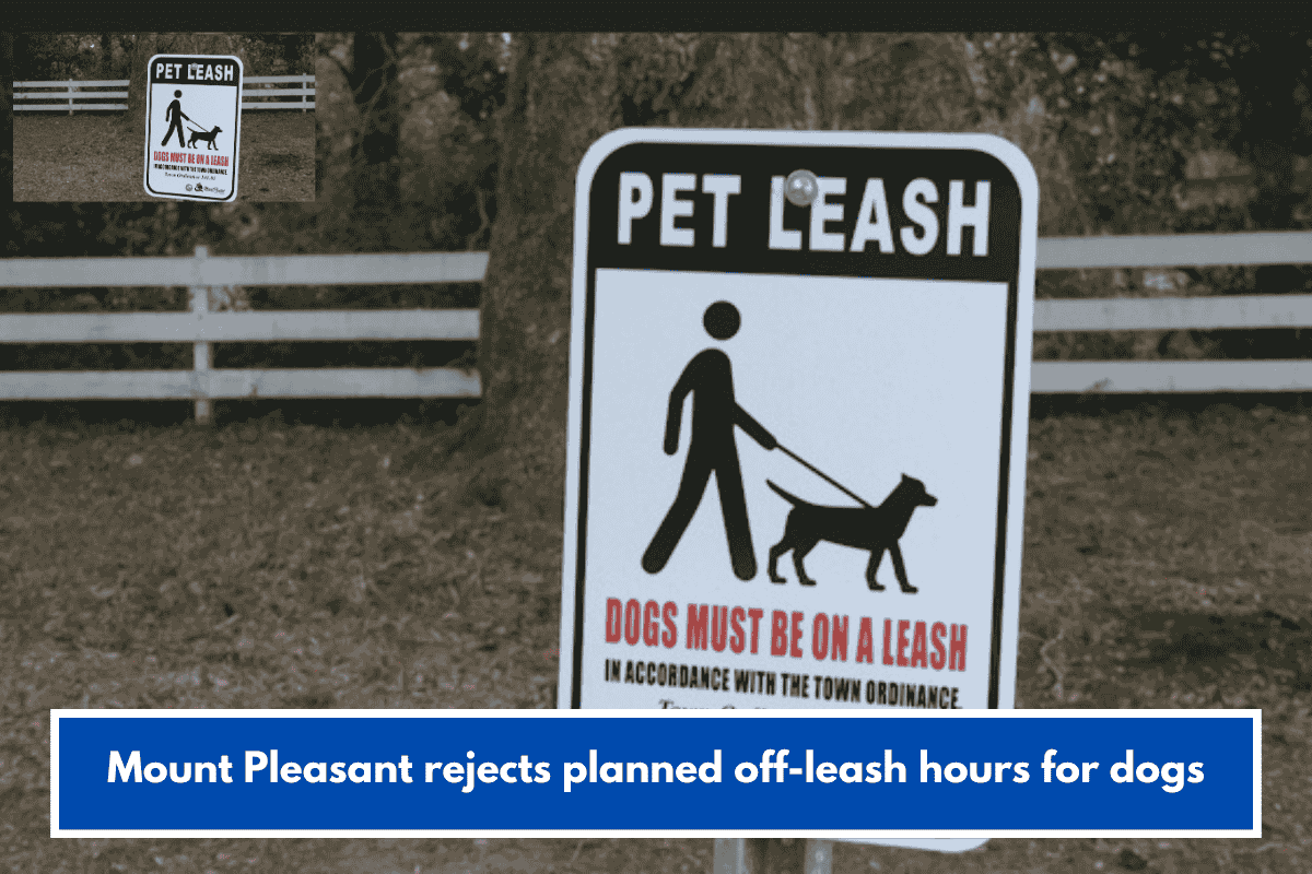 Mount Pleasant rejects planned off-leash hours for dogs