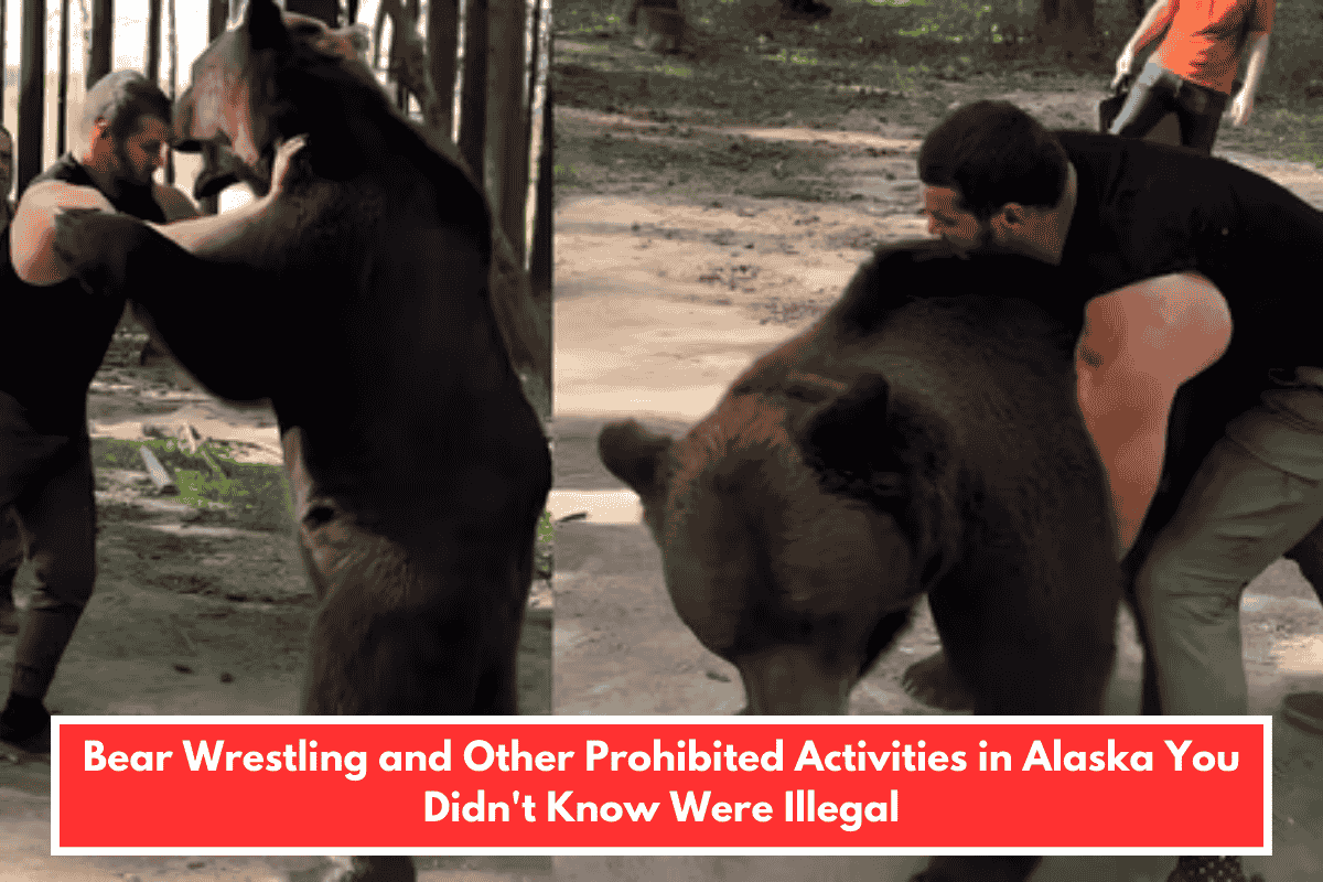 Bear Wrestling and Other Prohibited Activities in Alaska You Didn't Know Were Illegal