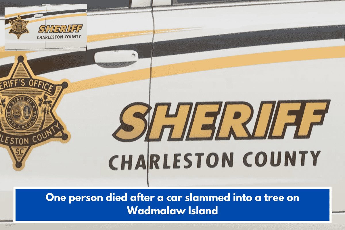 One person died after a car slammed into a tree on Wadmalaw Island