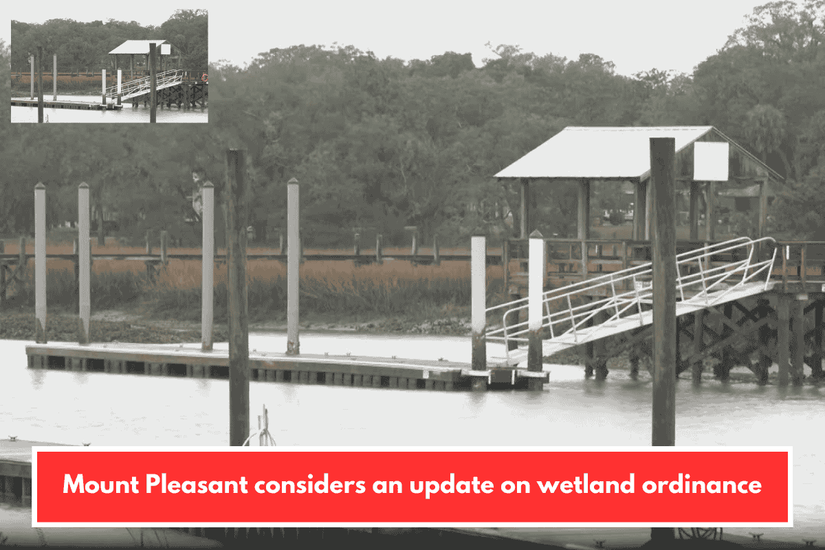 Mount Pleasant considers an update on wetland ordinance