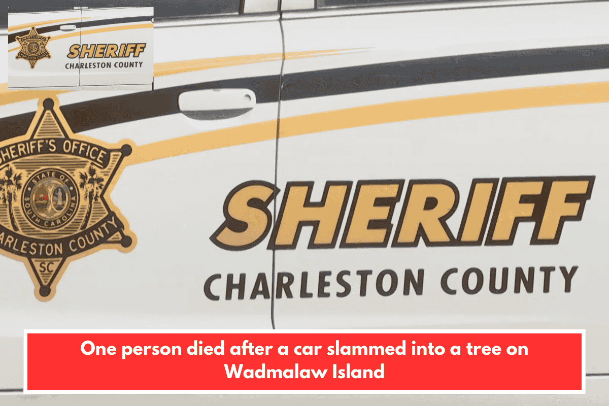 One person died after a car slammed into a tree on Wadmalaw Island