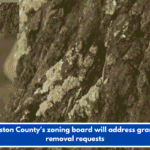 Charleston County's zoning board will address grand tree removal requests