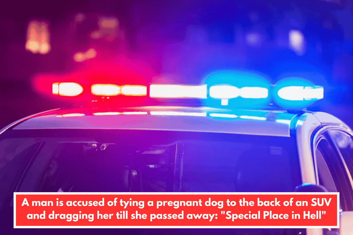 A man is accused of tying a pregnant dog to the back of an SUV and dragging her till she passed away: "Special Place in Hell"