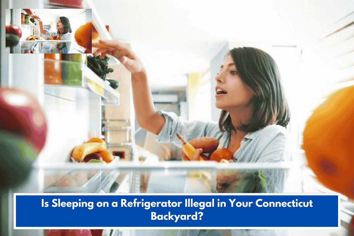 Is Sleeping on a Refrigerator Illegal in Your Connecticut Backyard?
