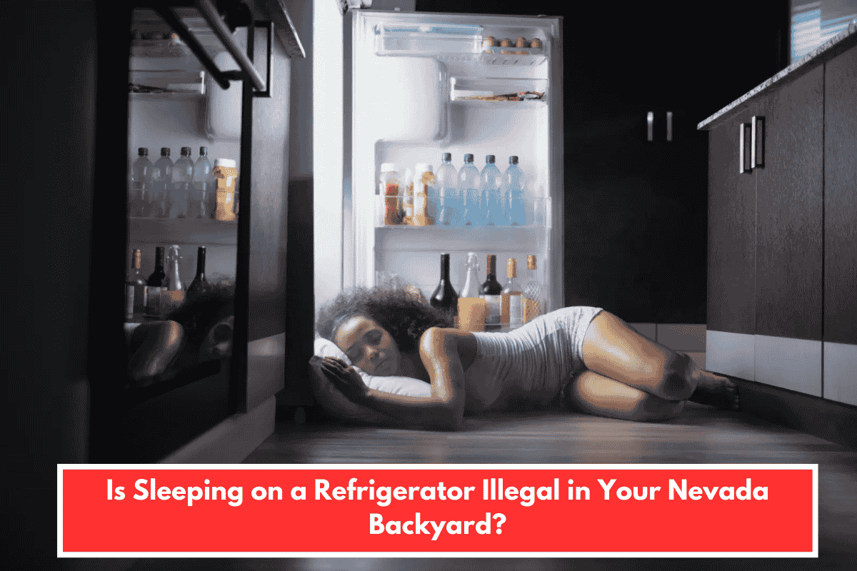 Is Sleeping on a Refrigerator Illegal in Your Nevada Backyard?