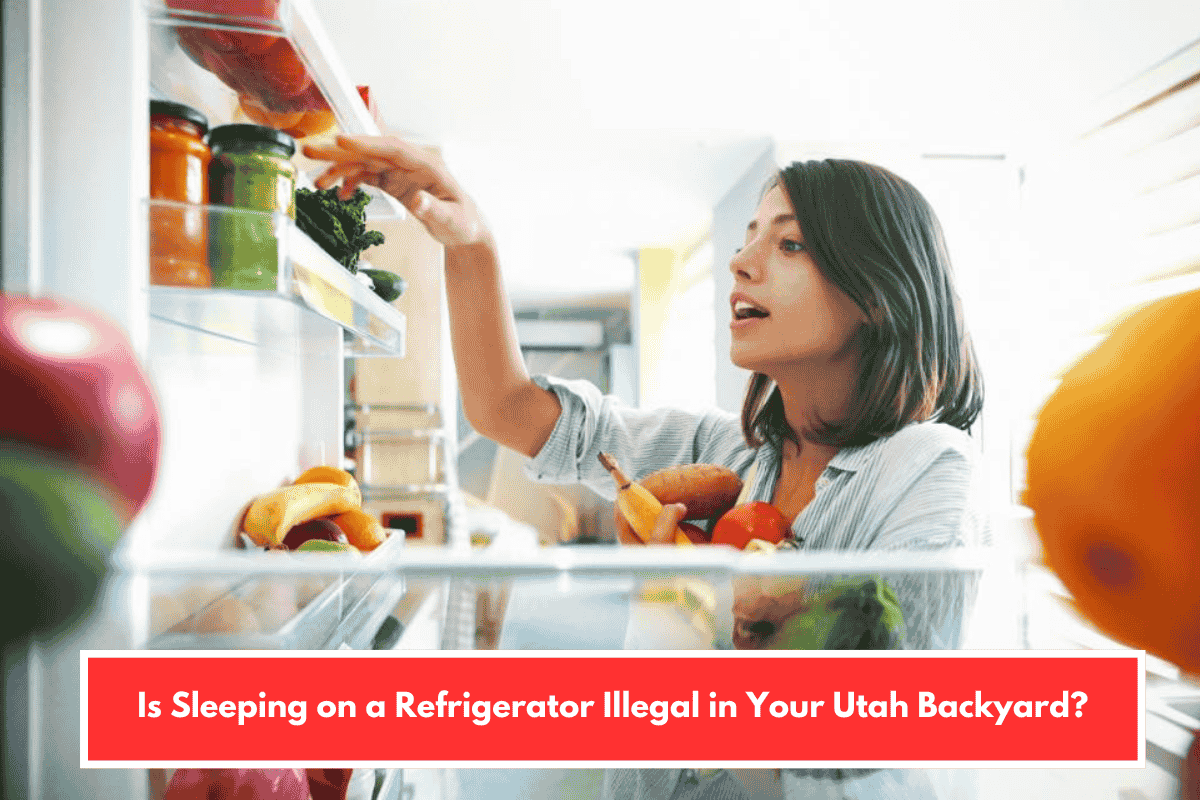 Is Sleeping on a Refrigerator Illegal in Your Utah Backyard?
