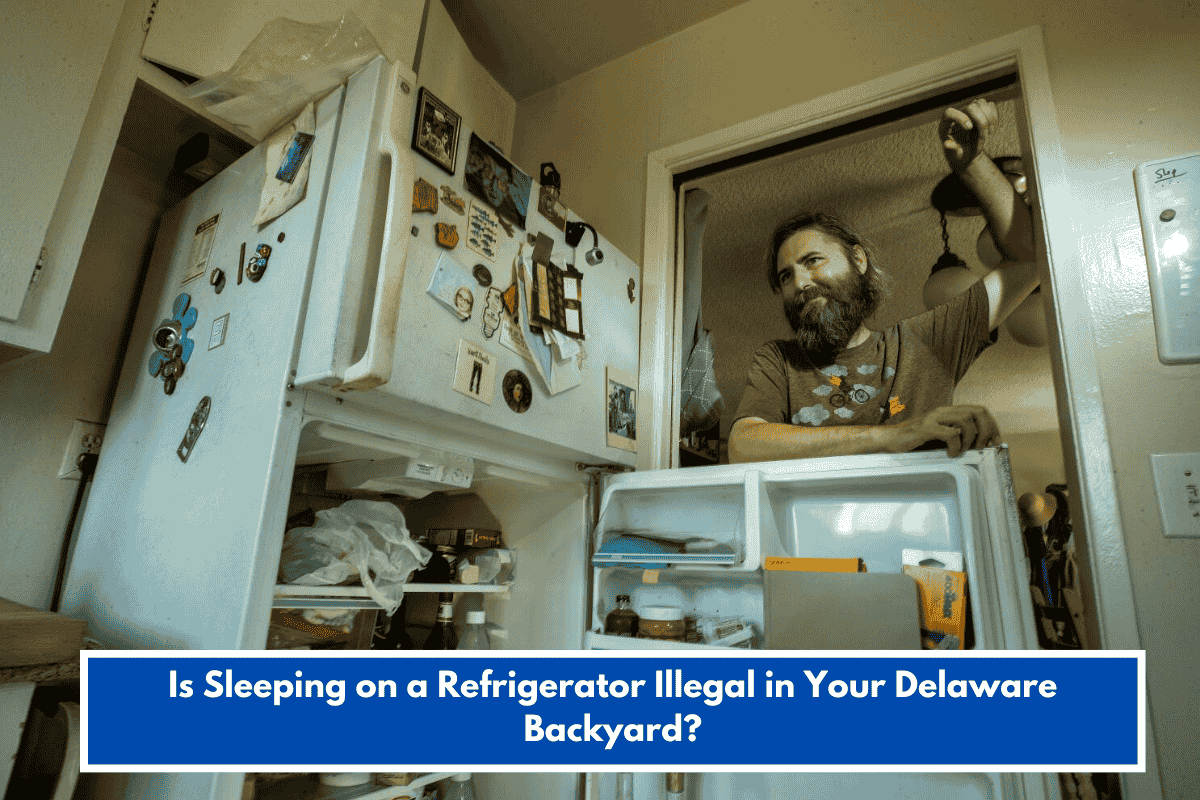 Is Sleeping on a Refrigerator Illegal in Your Delaware Backyard?