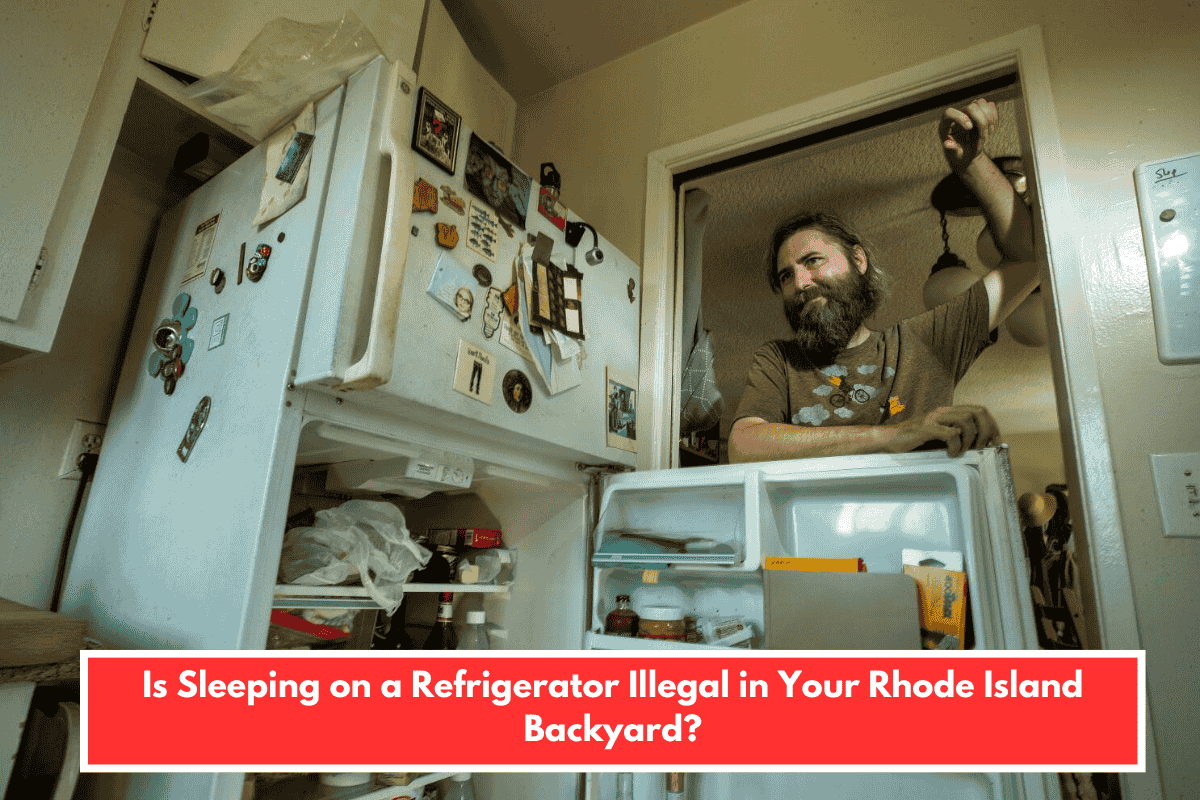 Is Sleeping on a Refrigerator Illegal in Your Rhode Island Backyard?