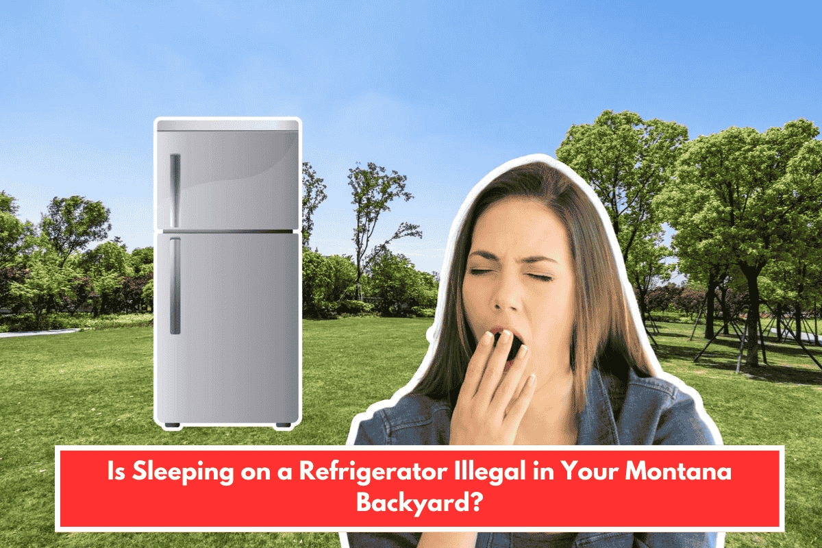 Is Sleeping on a Refrigerator Illegal in Your Montana Backyard?