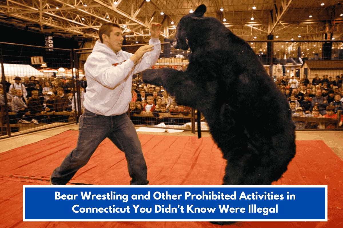 Bear Wrestling and Other Prohibited Activities in Connecticut You Didn't Know Were Illegal