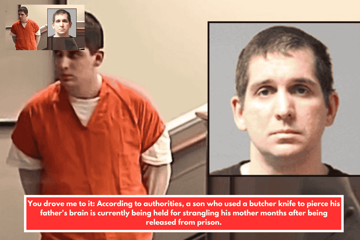 You drove me to it: According to authorities, a son who used a butcher knife to pierce his father's brain is currently being held for strangling his mother months after being released from prison.