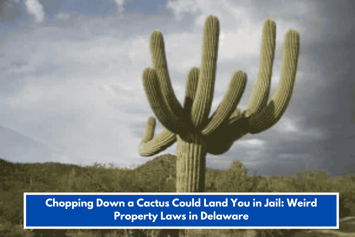 Chopping Down a Cactus Could Land You in Jail: Weird Property Laws in Delaware