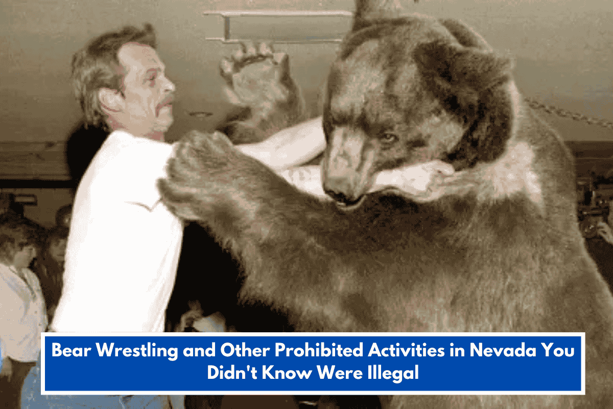Bear Wrestling and Other Prohibited Activities in Nevada You Didn't Know Were Illegal
