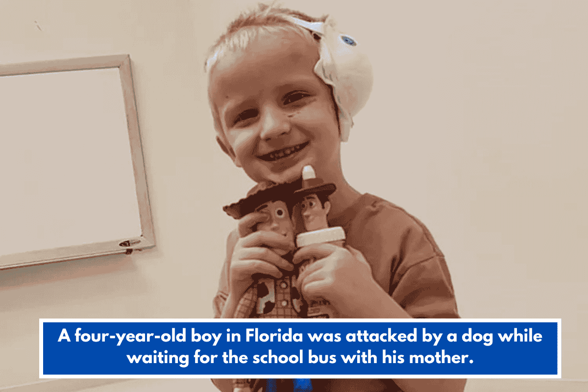 A four-year-old boy in Florida was attacked by a dog while waiting for the school bus with his mother.