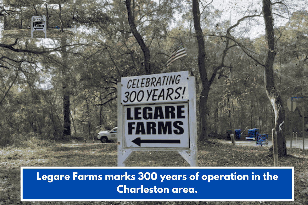 Legare Farms marks 300 years of operation in the Charleston area.