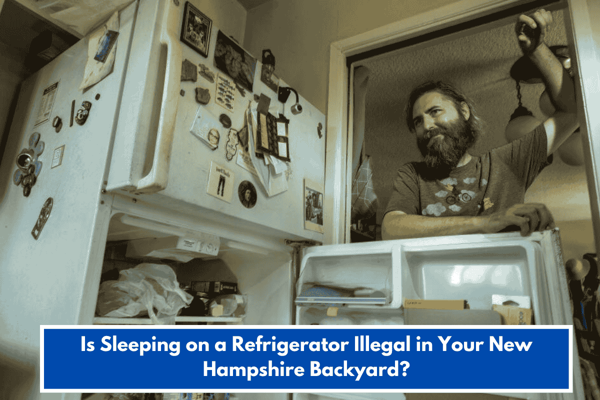 Is Sleeping on a Refrigerator Illegal in Your New Hampshire Backyard?