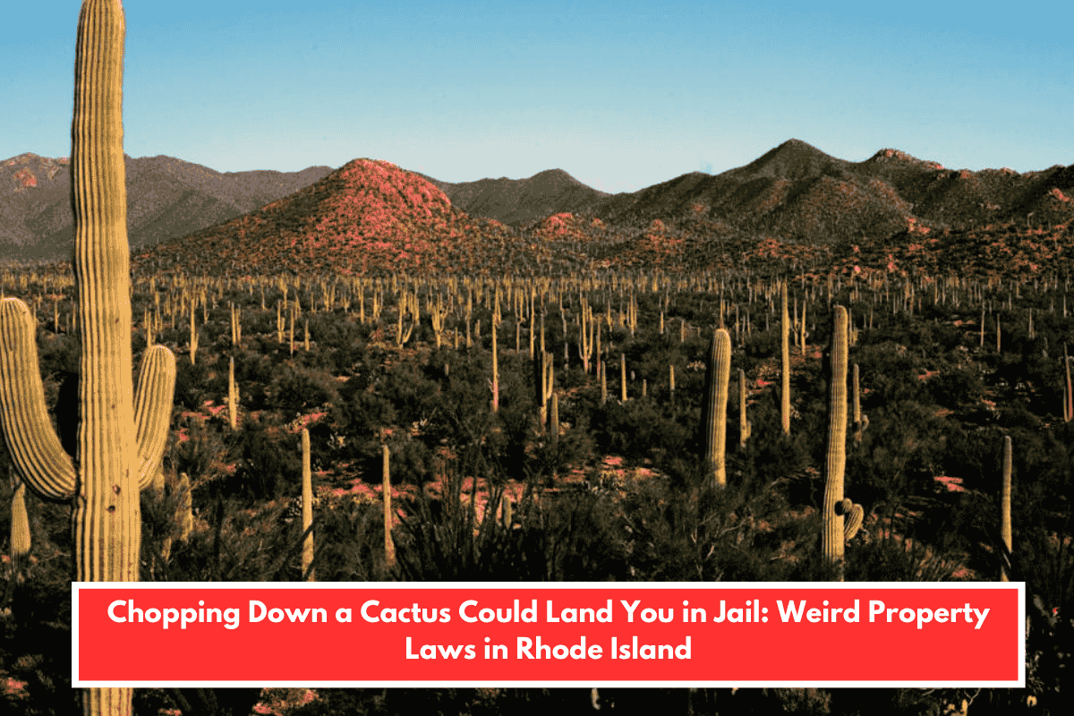 Chopping Down a Cactus Could Land You in Jail: Weird Property Laws in Rhode Island