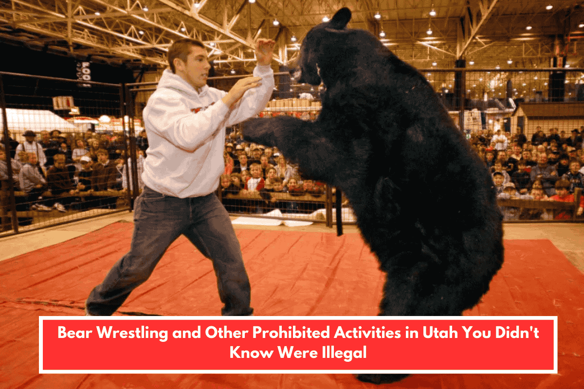 Bear Wrestling and Other Prohibited Activities in Utah You Didn't Know Were Illegal