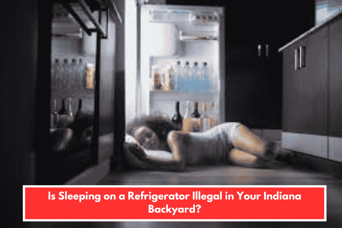 Is Sleeping on a Refrigerator Illegal in Your Indiana Backyard?