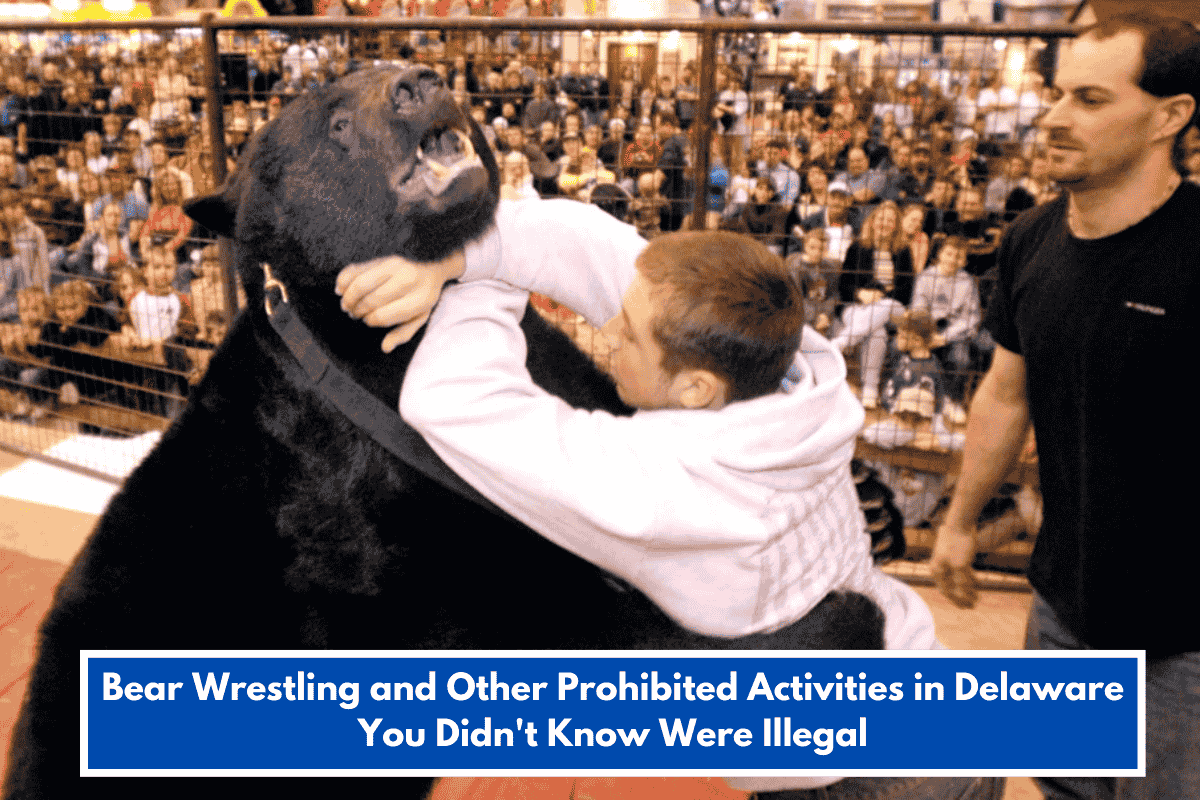 Bear Wrestling and Other Prohibited Activities in Delaware You Didn't Know Were Illegal