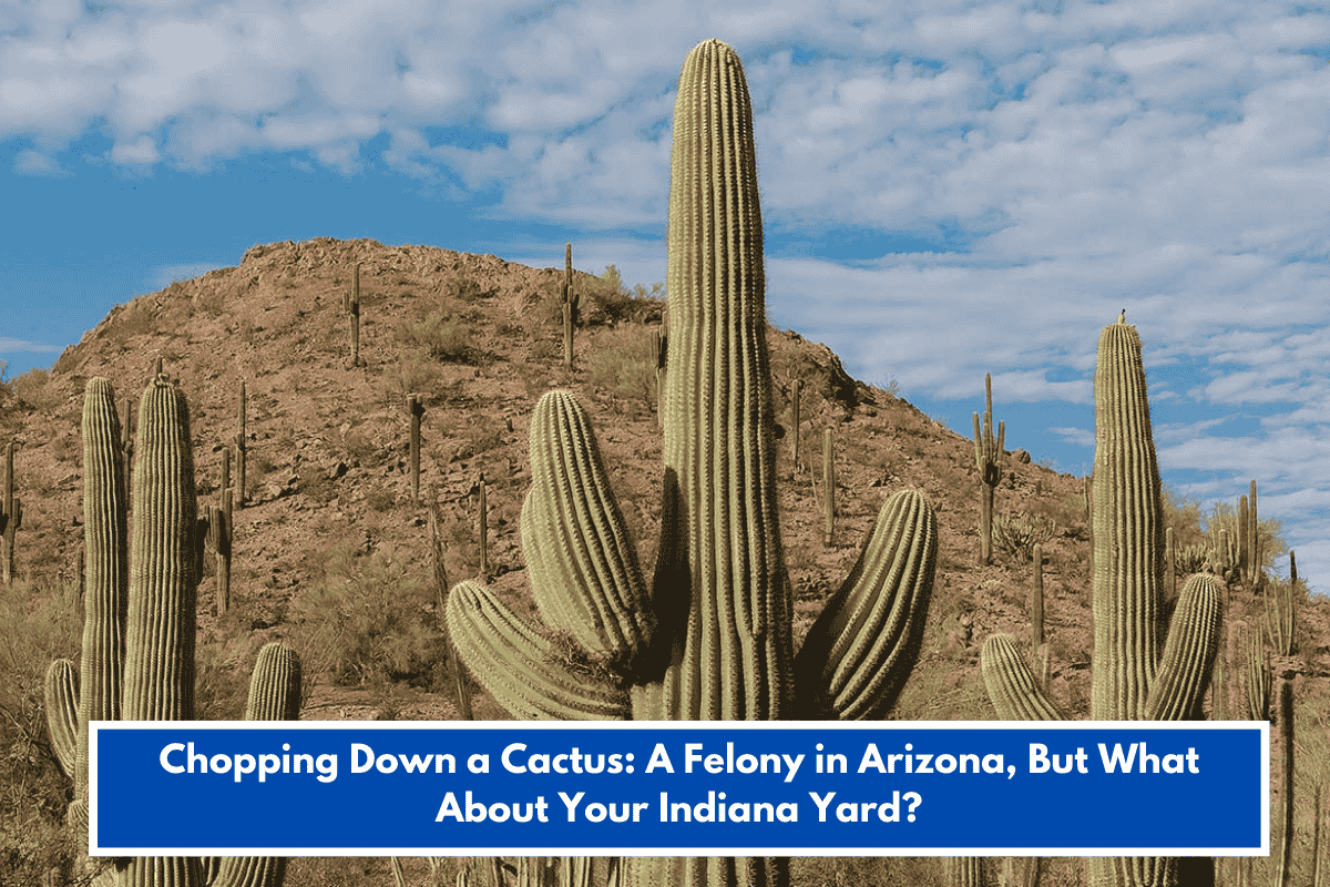 Chopping Down a Cactus: A Felony in Arizona, But What About Your Indiana Yard?