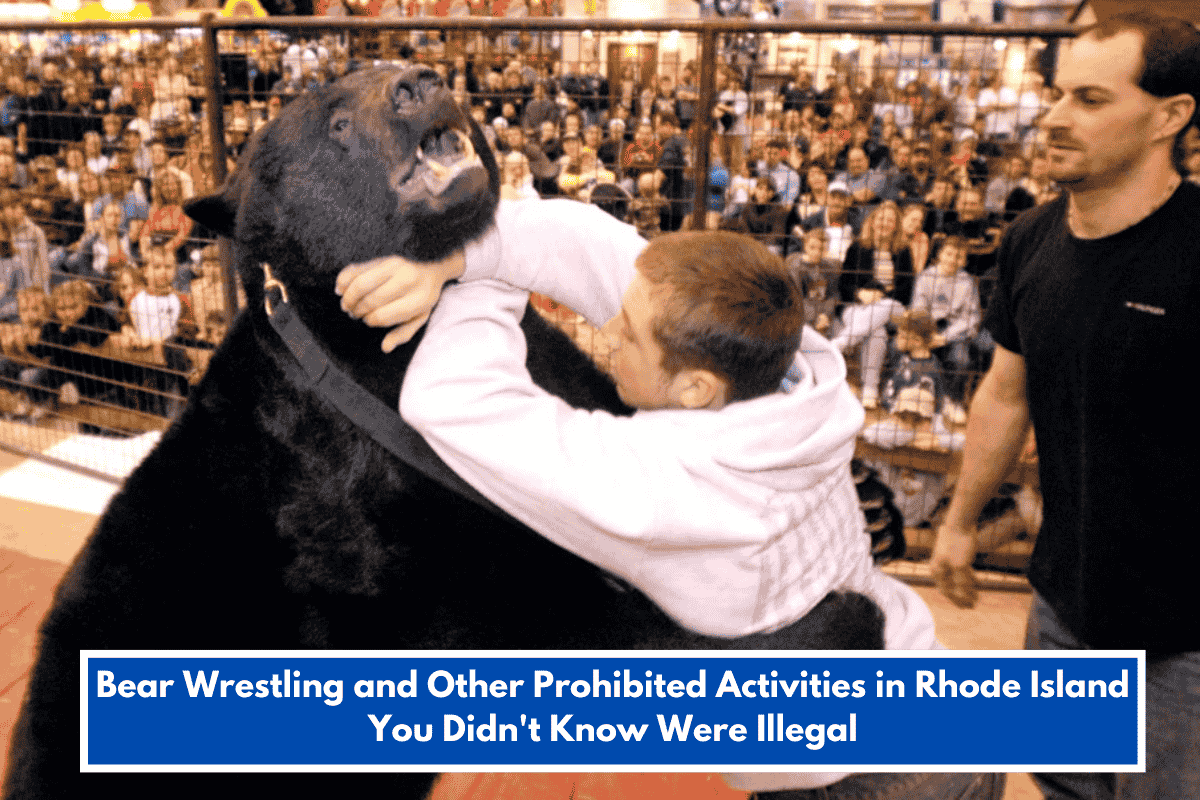 Bear Wrestling and Other Prohibited Activities in Rhode Island You Didn't Know Were Illegal