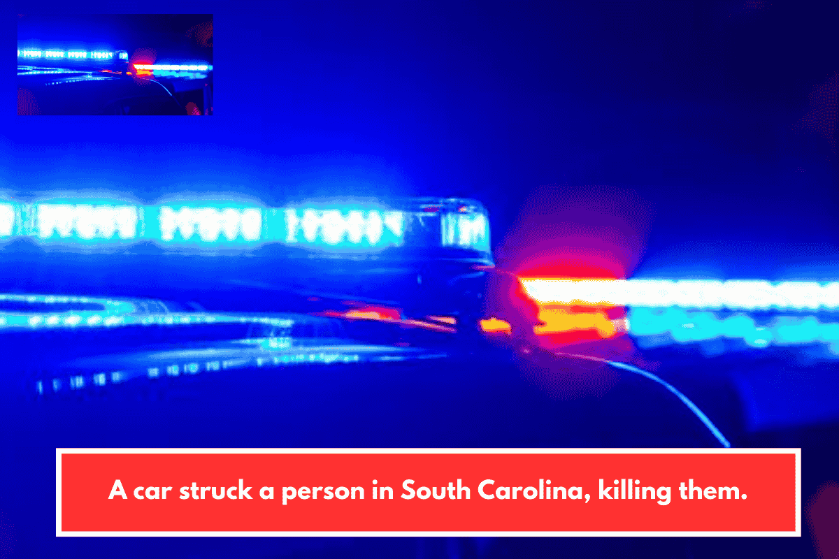 A car struck a person in South Carolina, killing them.
