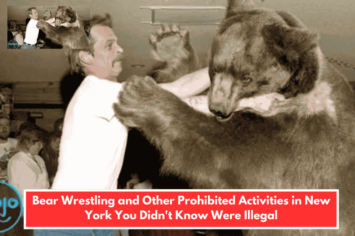 Bear Wrestling and Other Prohibited Activities in New York You Didn't Know Were Illegal