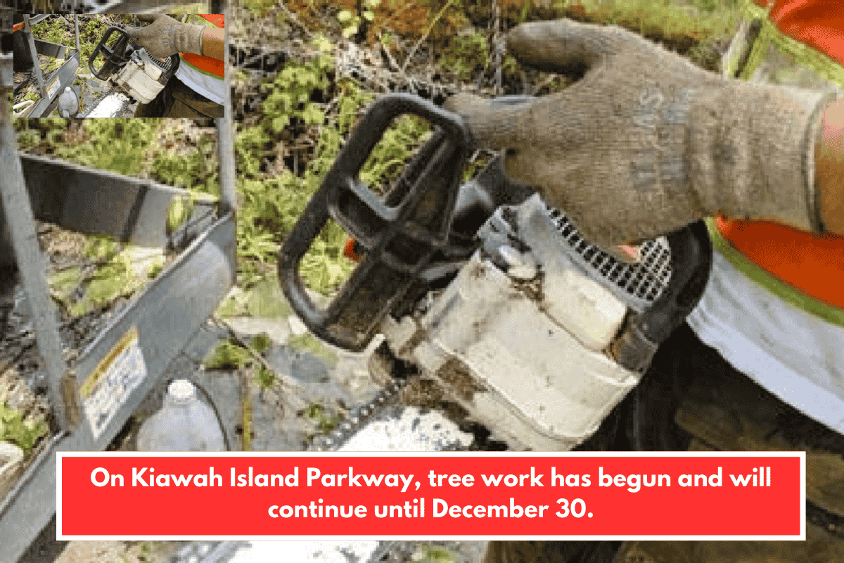 On Kiawah Island Parkway, tree work has begun and will continue until December 30.