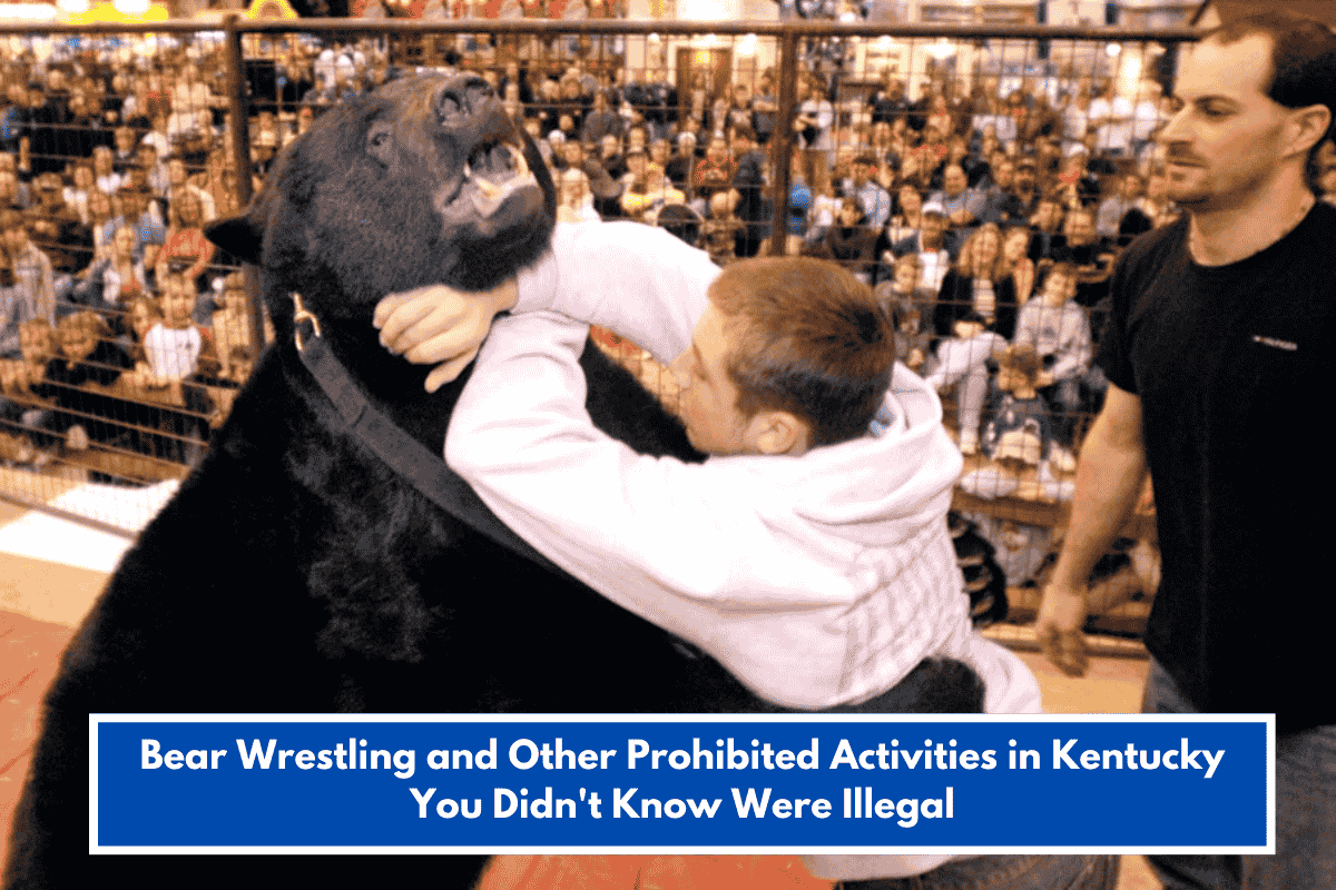 Bear Wrestling and Other Prohibited Activities in Kentucky You Didn't Know Were Illegal