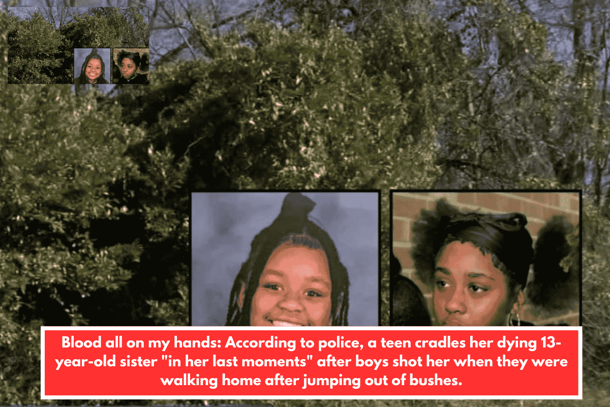 Blood all on my hands: According to police, a teen cradles her dying 13-year-old sister "in her last moments" after boys shot her when they were walking home after jumping out of bushes.
