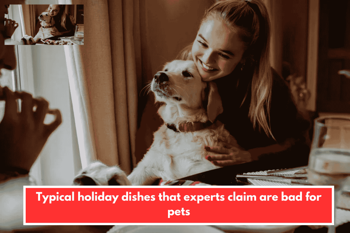 Typical holiday dishes that experts claim are bad for pets