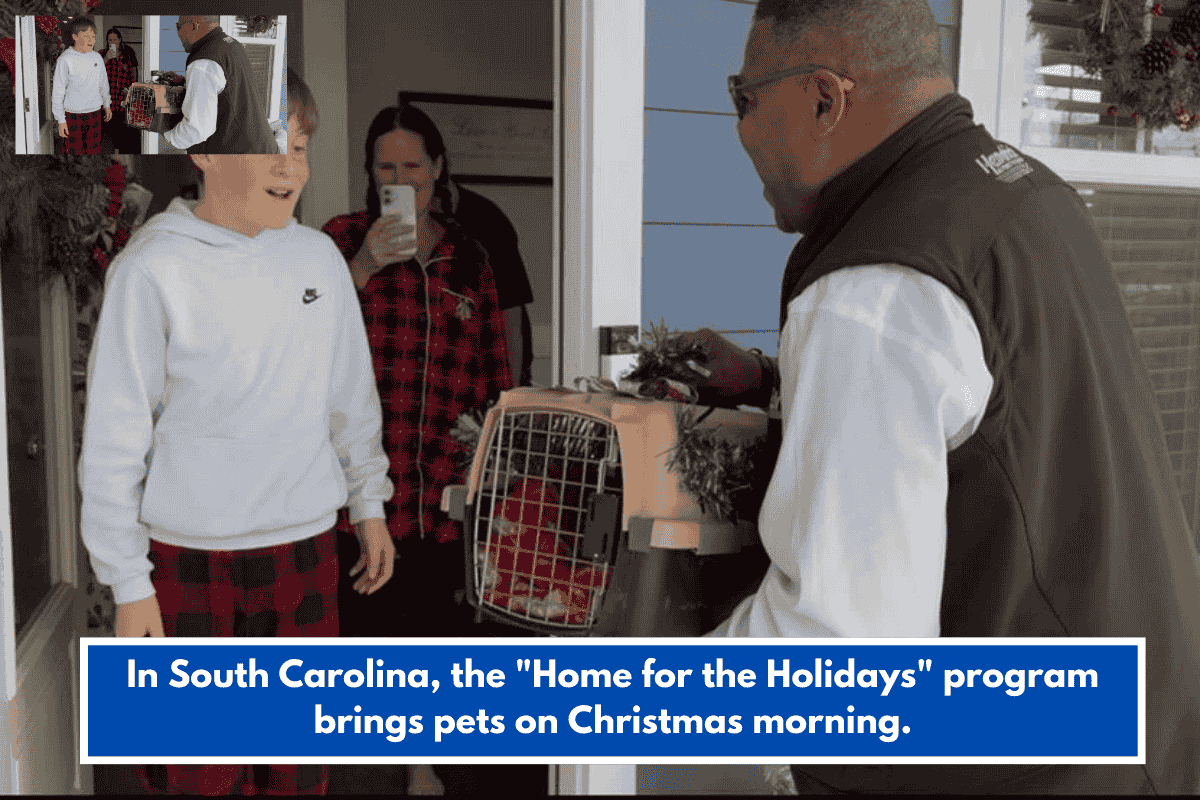 In South Carolina, the "Home for the Holidays" program brings pets on Christmas morning.