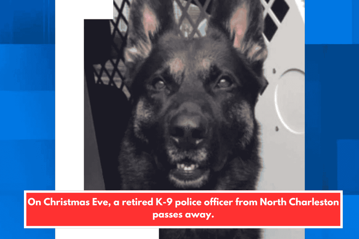 On Christmas Eve, a retired K-9 police officer from North Charleston passes away.
