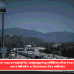 A driver was arrested for endangering children after two children were killed in a Christmas Day collision.