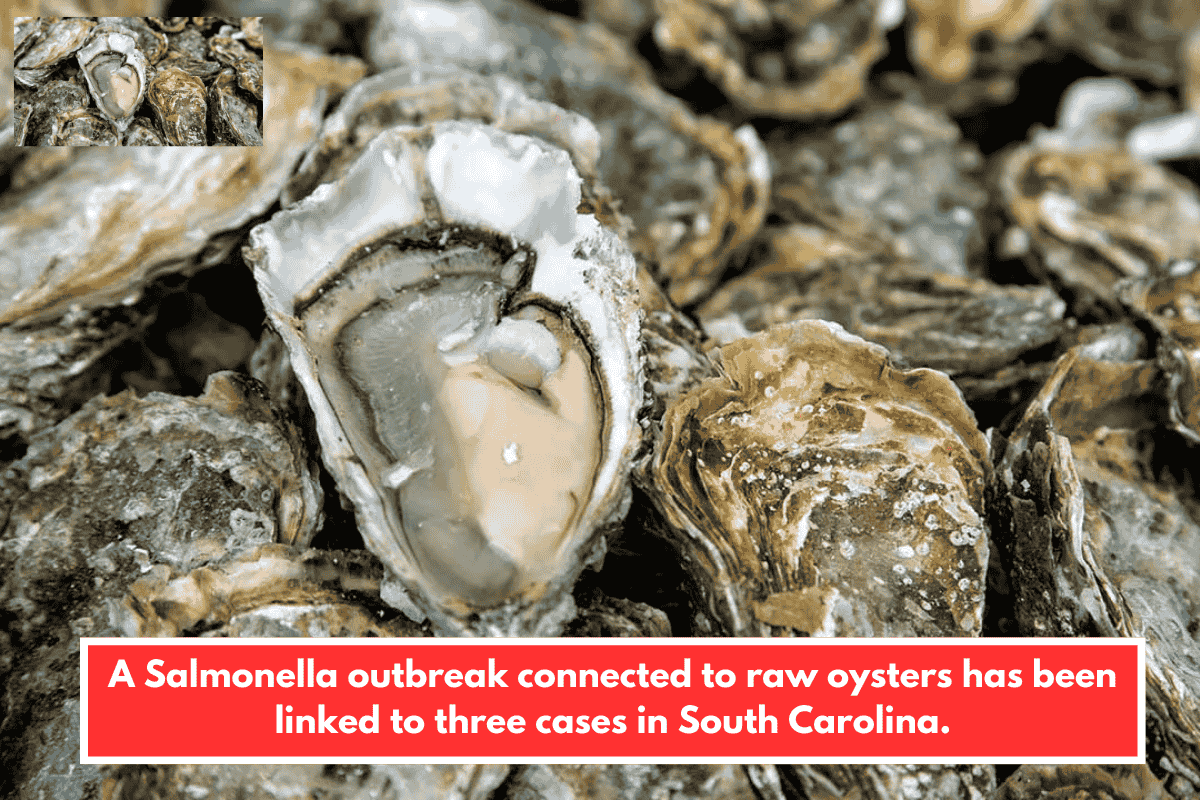A Salmonella outbreak connected to raw oysters has been linked to three cases in South Carolina.