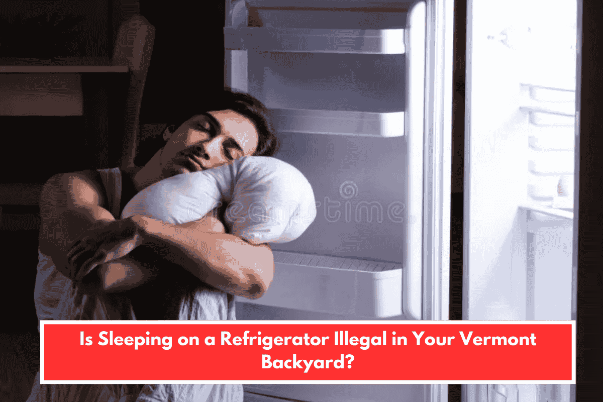 Is Sleeping on a Refrigerator Illegal in Your Vermont Backyard?