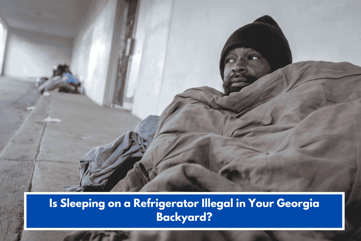 Is Sleeping on a Refrigerator Illegal in Your Georgia Backyard?