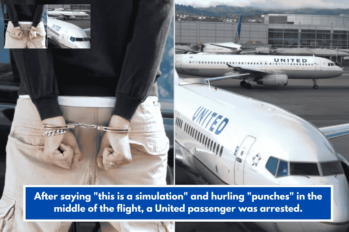 After saying "this is a simulation" and hurling "punches" in the middle of the flight, a United passenger was arrested.