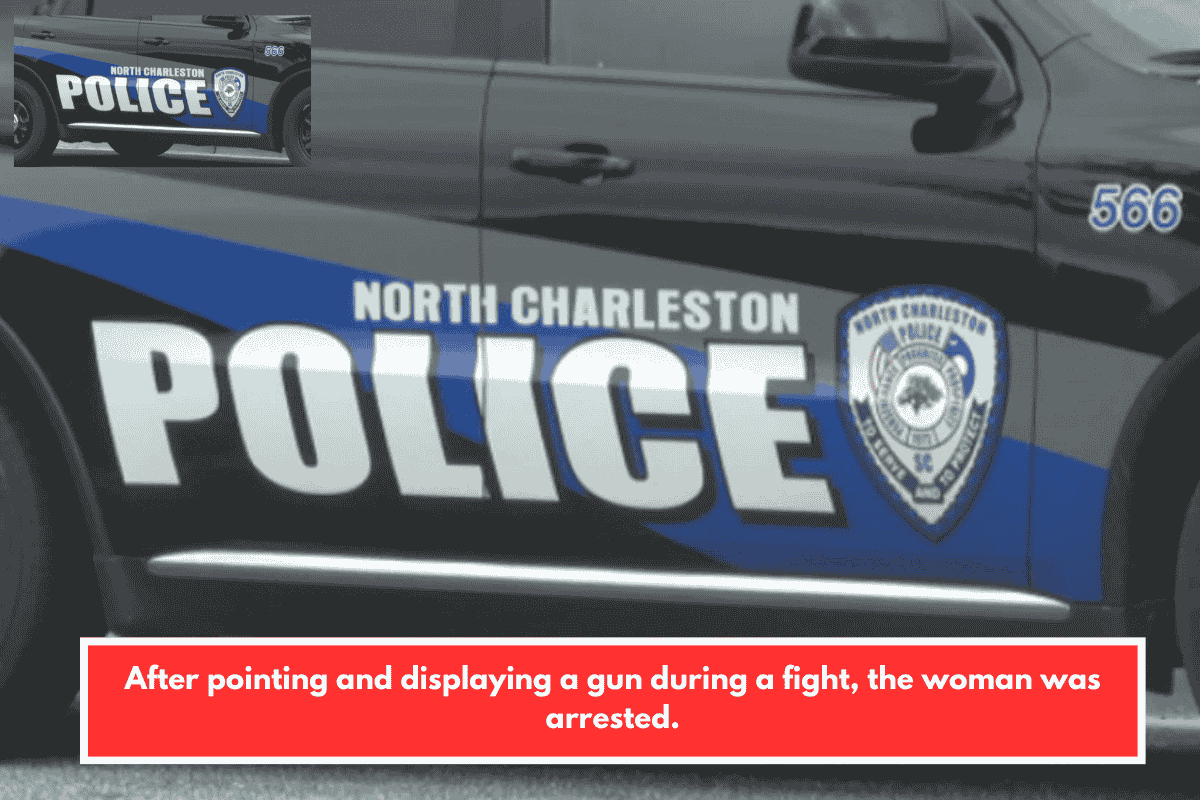 After pointing and displaying a gun during a fight, the woman was arrested.