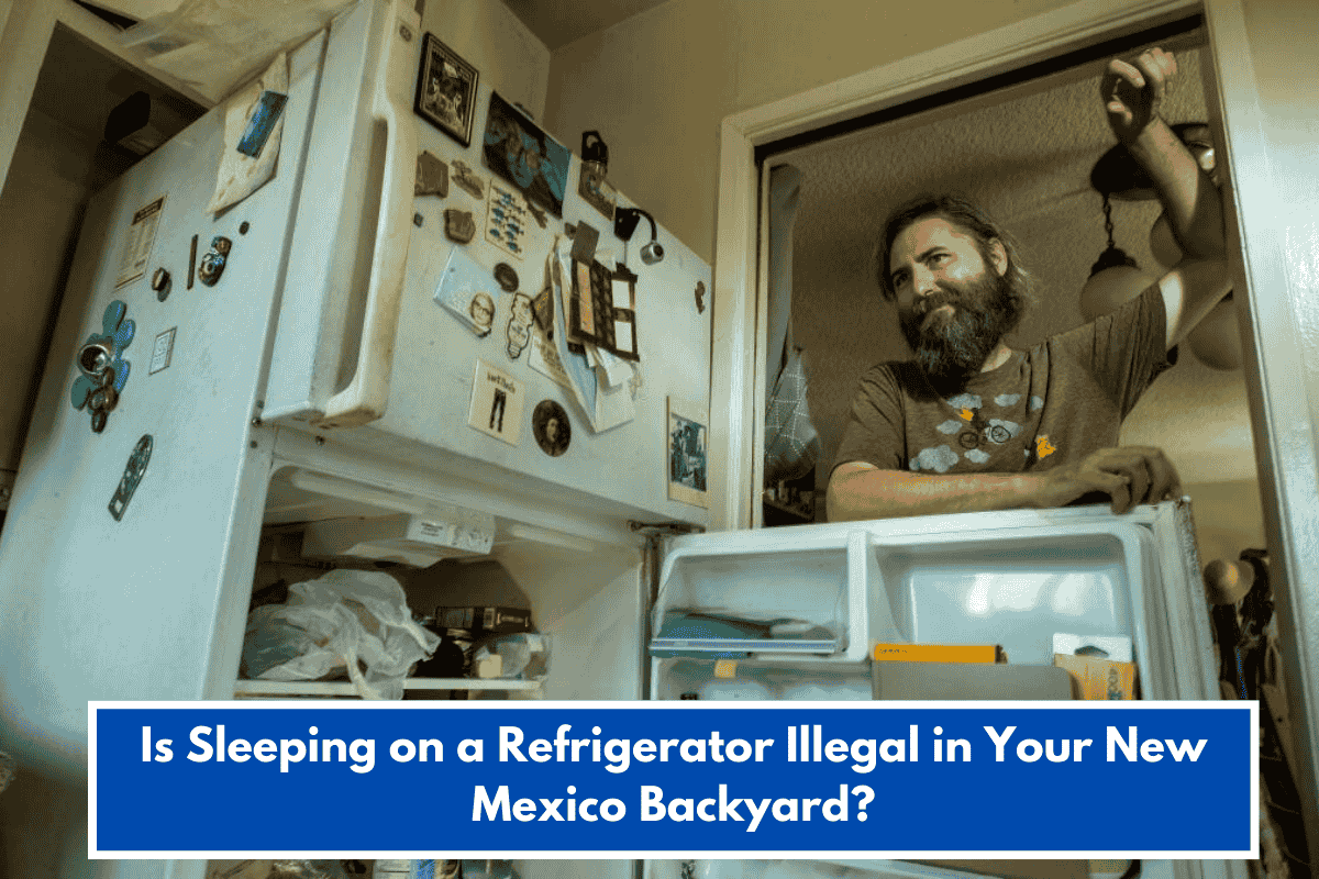 Is Sleeping on a Refrigerator Illegal in Your New Mexico Backyard?