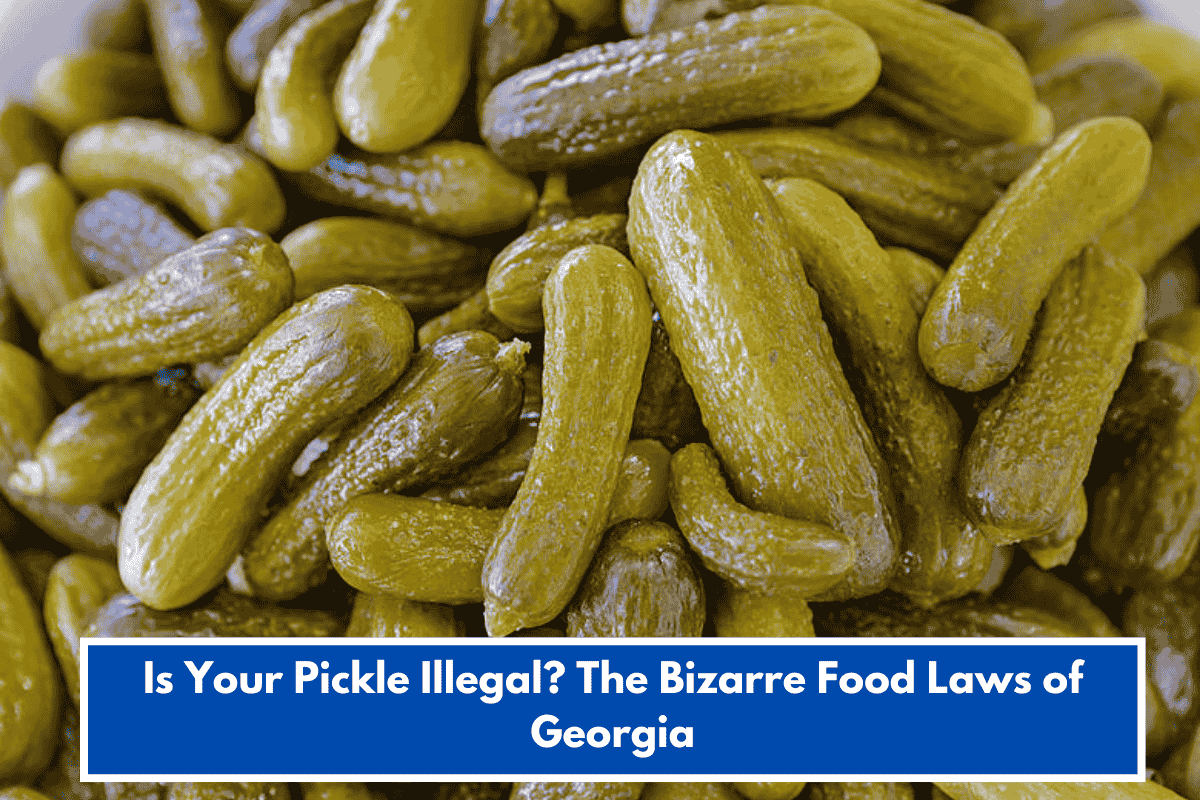 Is Your Pickle Illegal? The Bizarre Food Laws of Georgia
