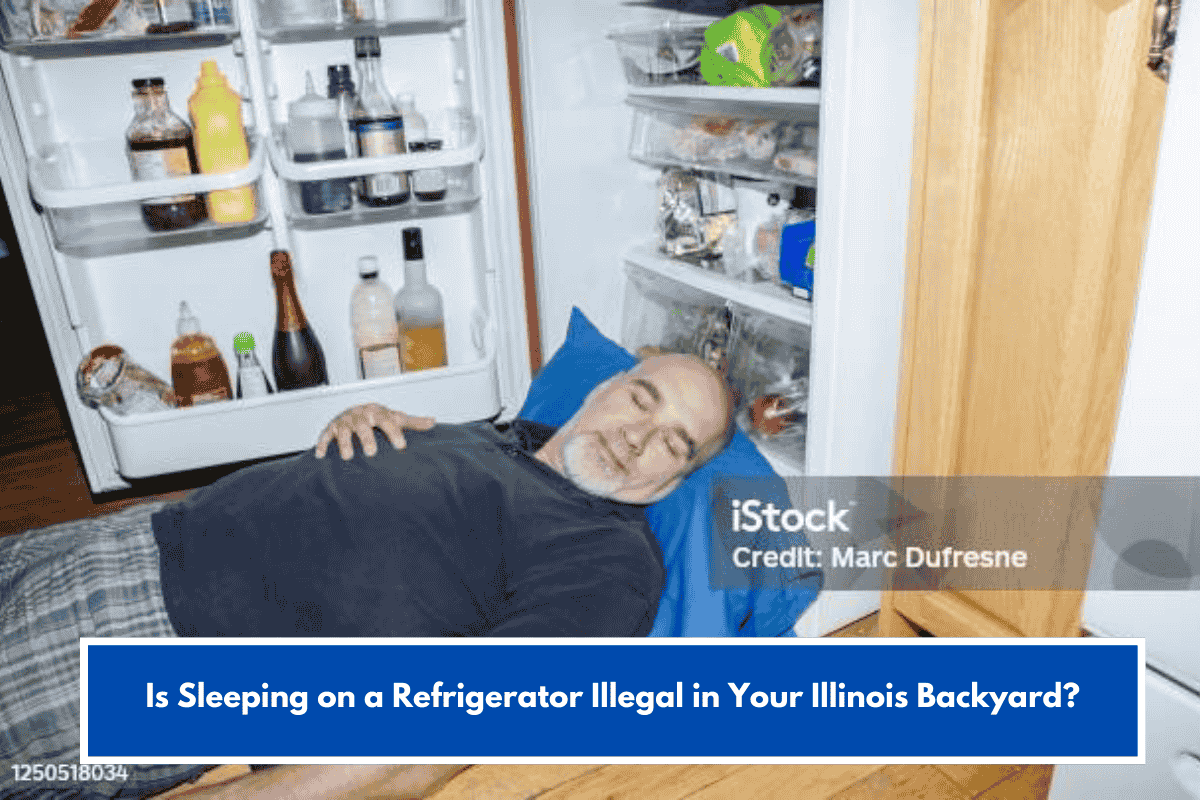 Is Sleeping on a Refrigerator Illegal in Your Illinois Backyard?