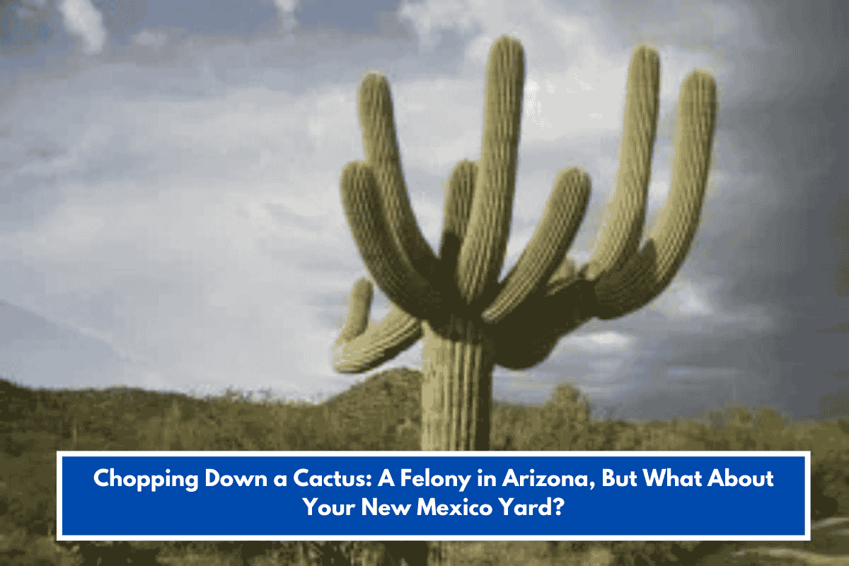 Chopping Down a Cactus: A Felony in Arizona, But What About Your New Mexico Yard?