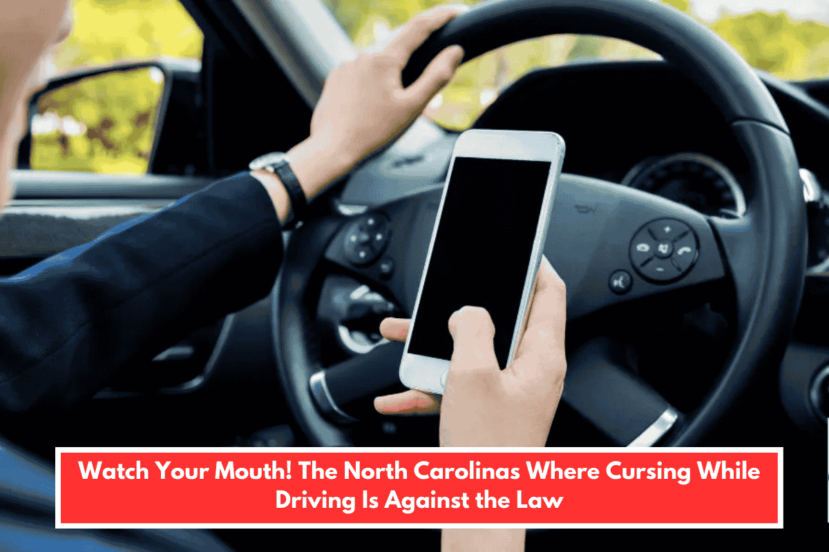 Watch Your Mouth! The North Carolinas Where Cursing While Driving Is Against the Law