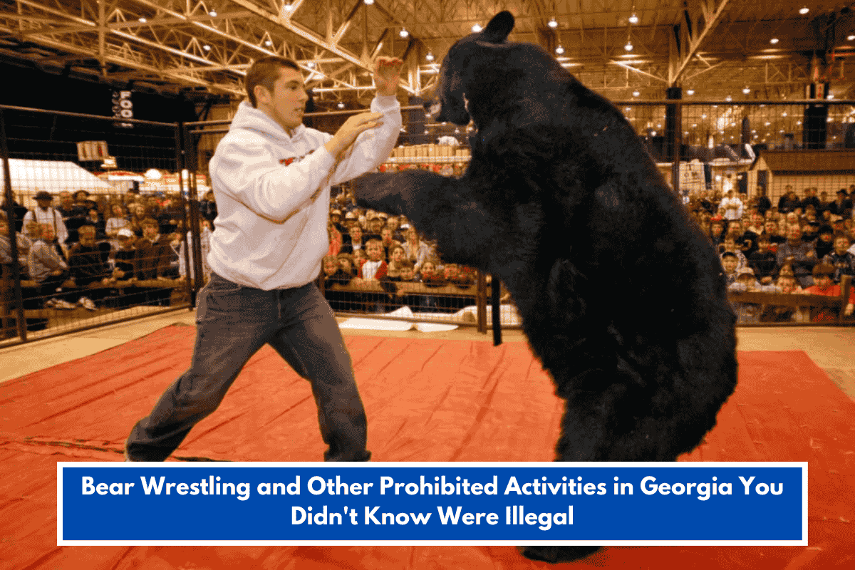 Bear Wrestling and Other Prohibited Activities in Georgia You Didn't Know Were Illegal
